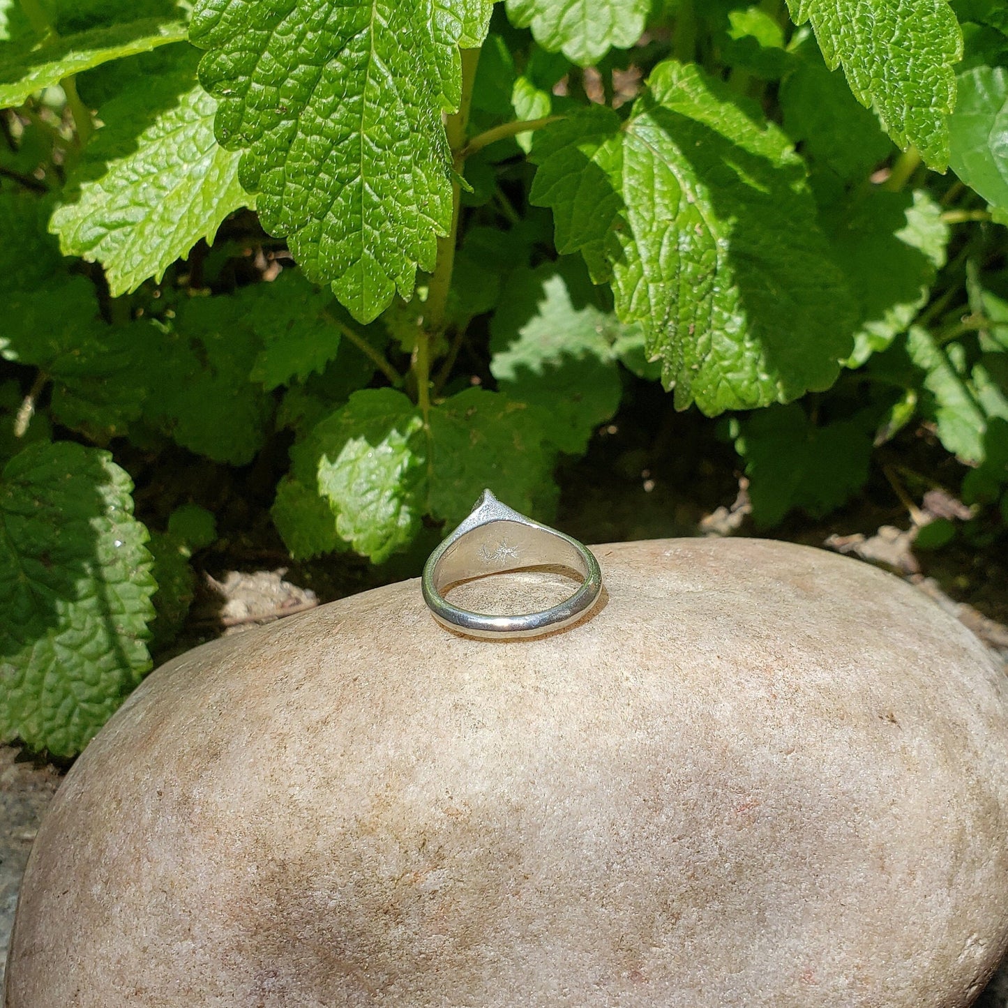 Fire Fern wax seal signet ring