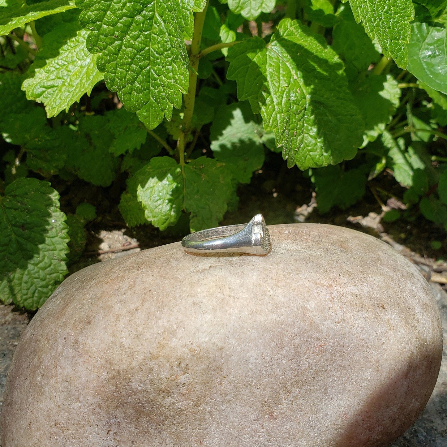 Fire Fern wax seal signet ring