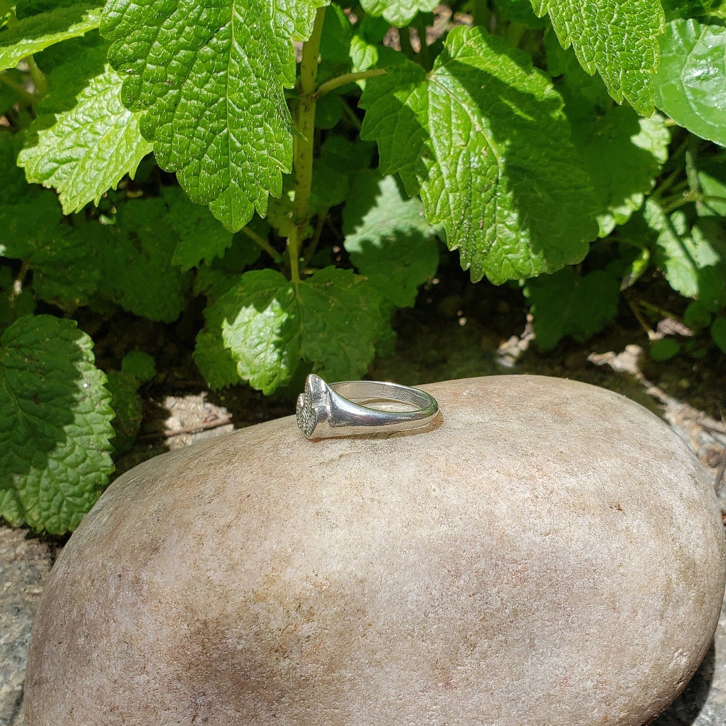 Fire Fern wax seal signet ring