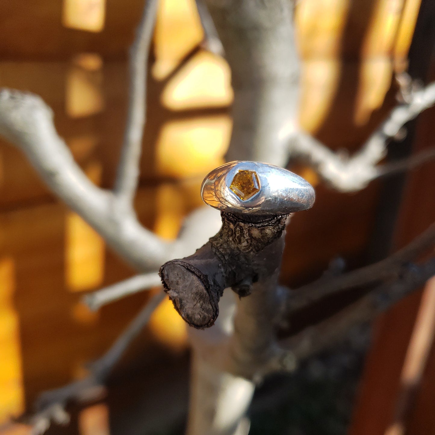 Fantasy bubble cut honey mali garnet silver ring