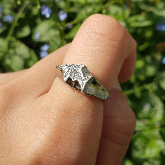 Ichthyosaur fossil wax seal signet ring