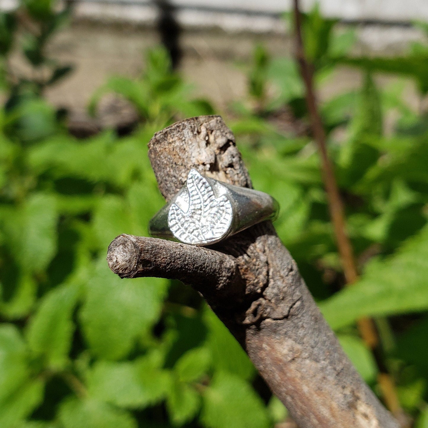 Fire Fern wax seal signet ring