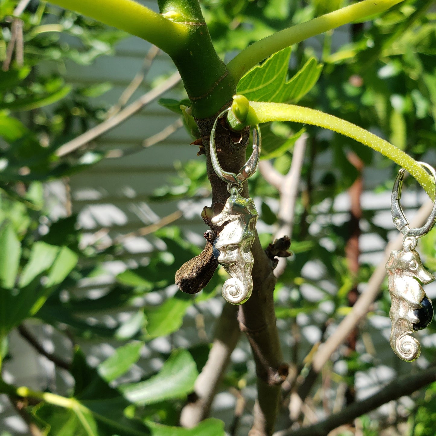 Star sapphire seahorse earrings