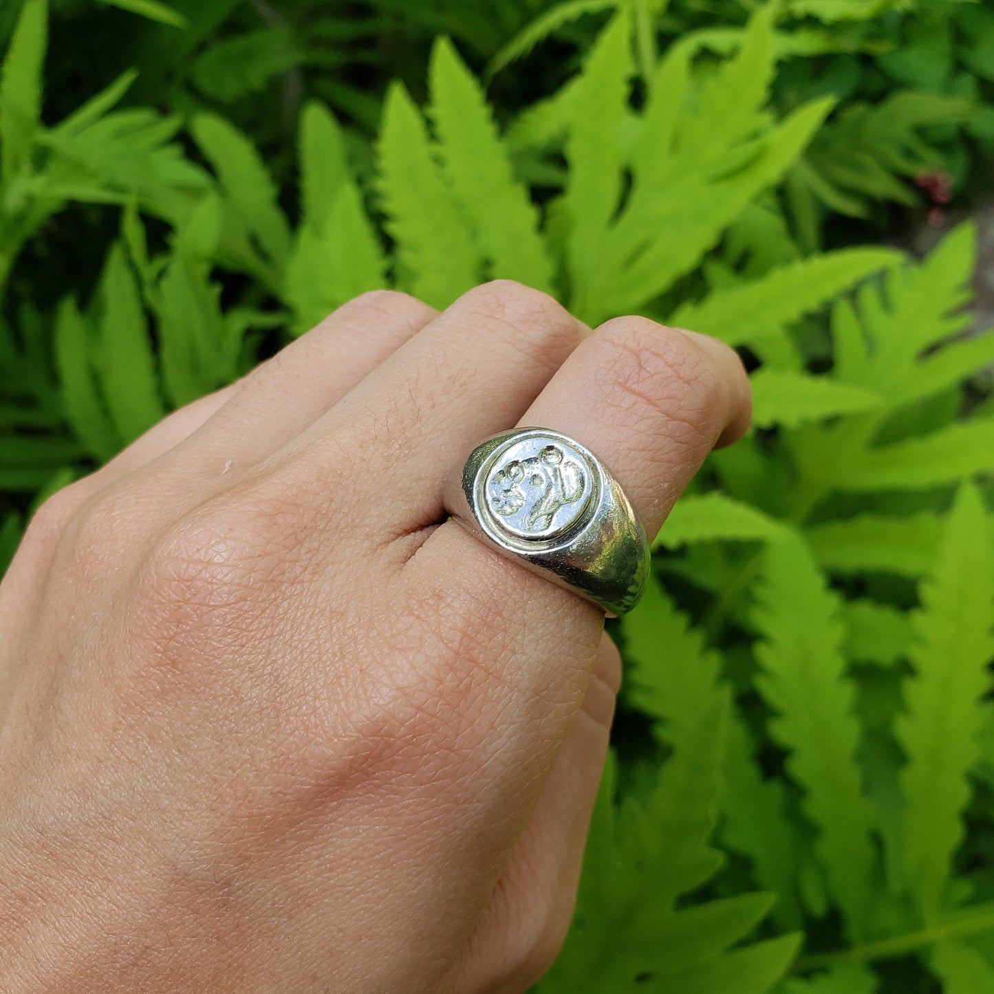 Aviator parrot wax seal signet ring