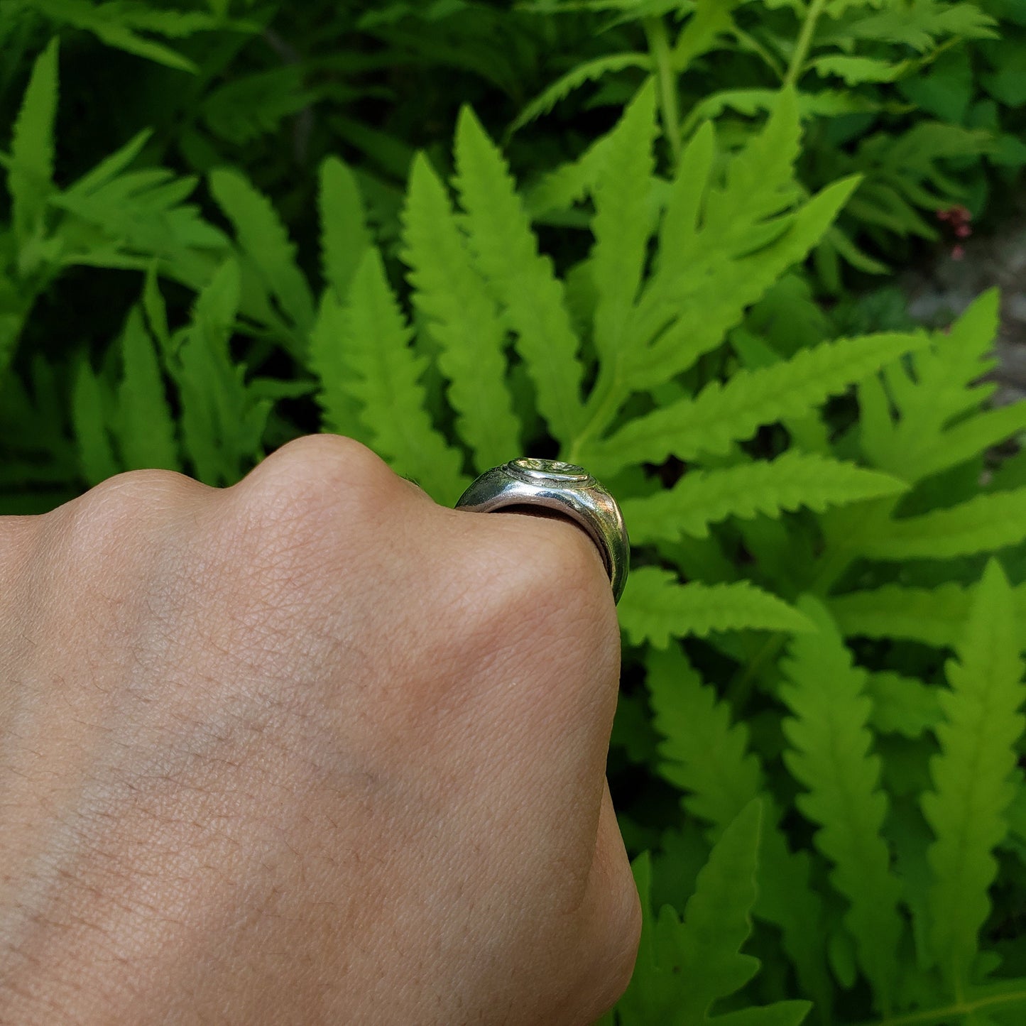 Aviator parrot wax seal signet ring