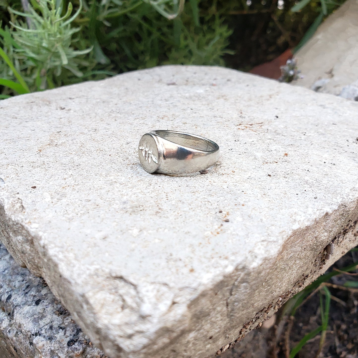 Ash leaves wax seal signet ring