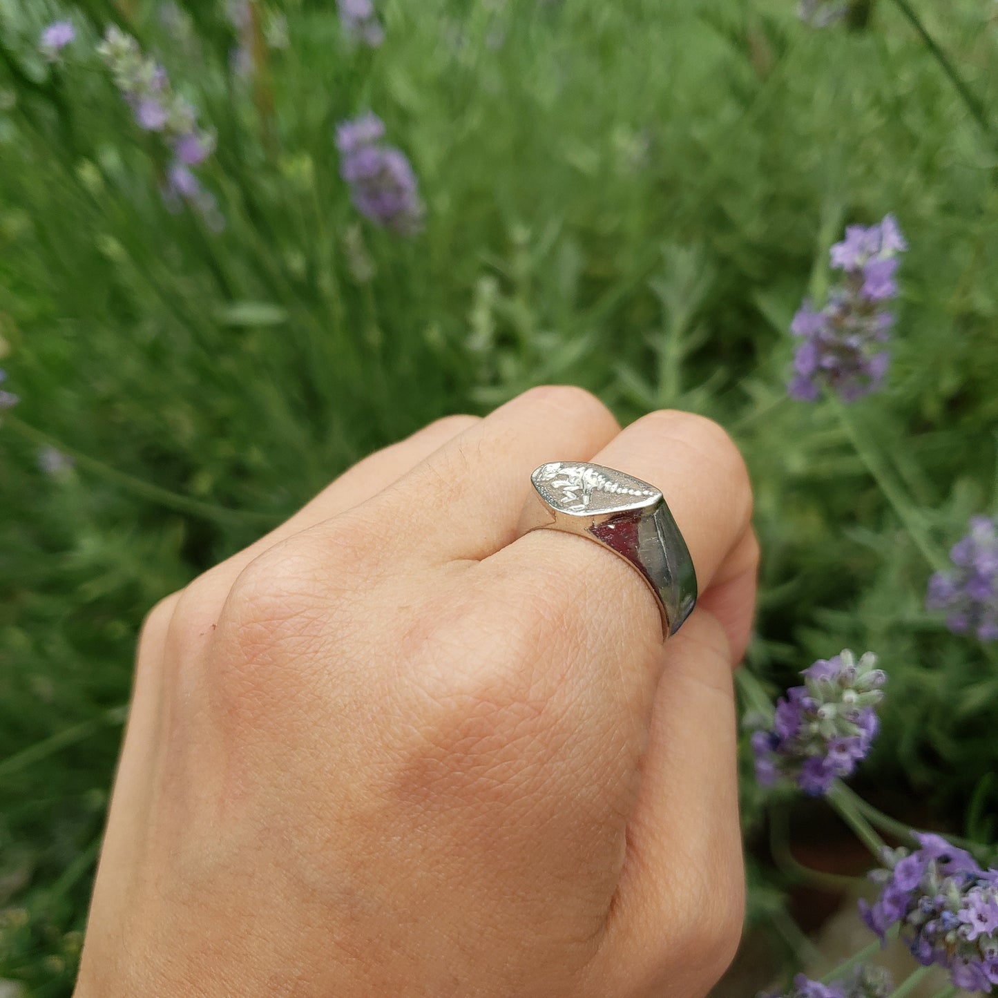 pachycephalosaurus fossil wax seal signet ring