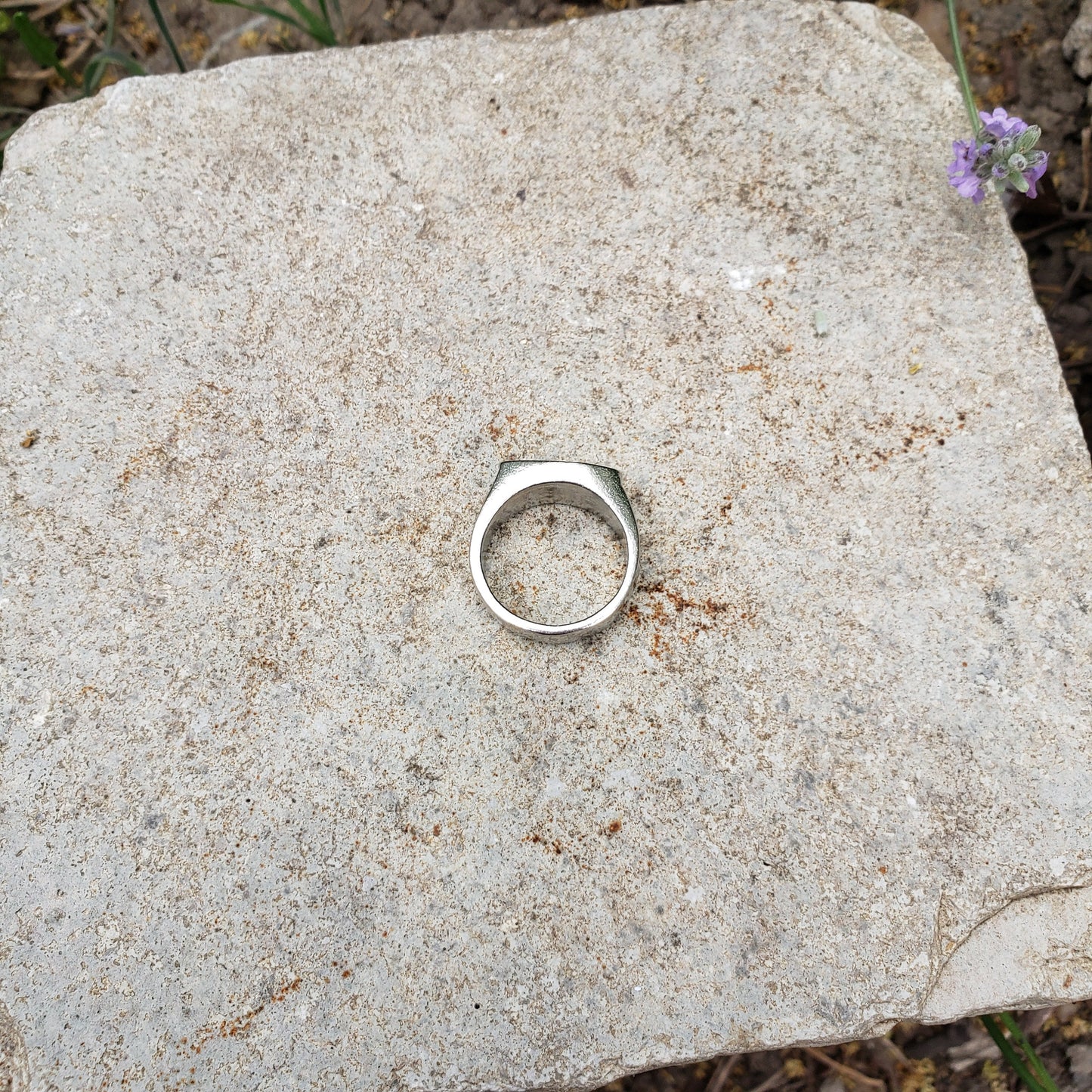 pachycephalosaurus fossil wax seal signet ring