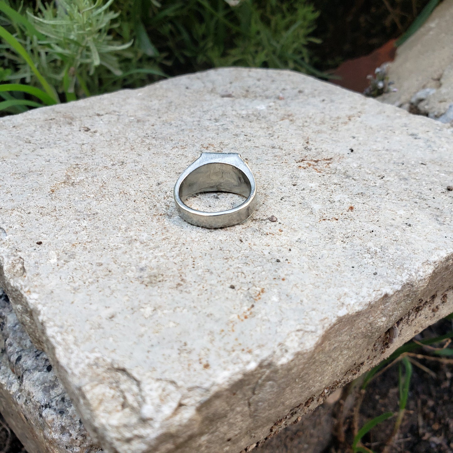 You can't handle the tooth wax seal signet ring