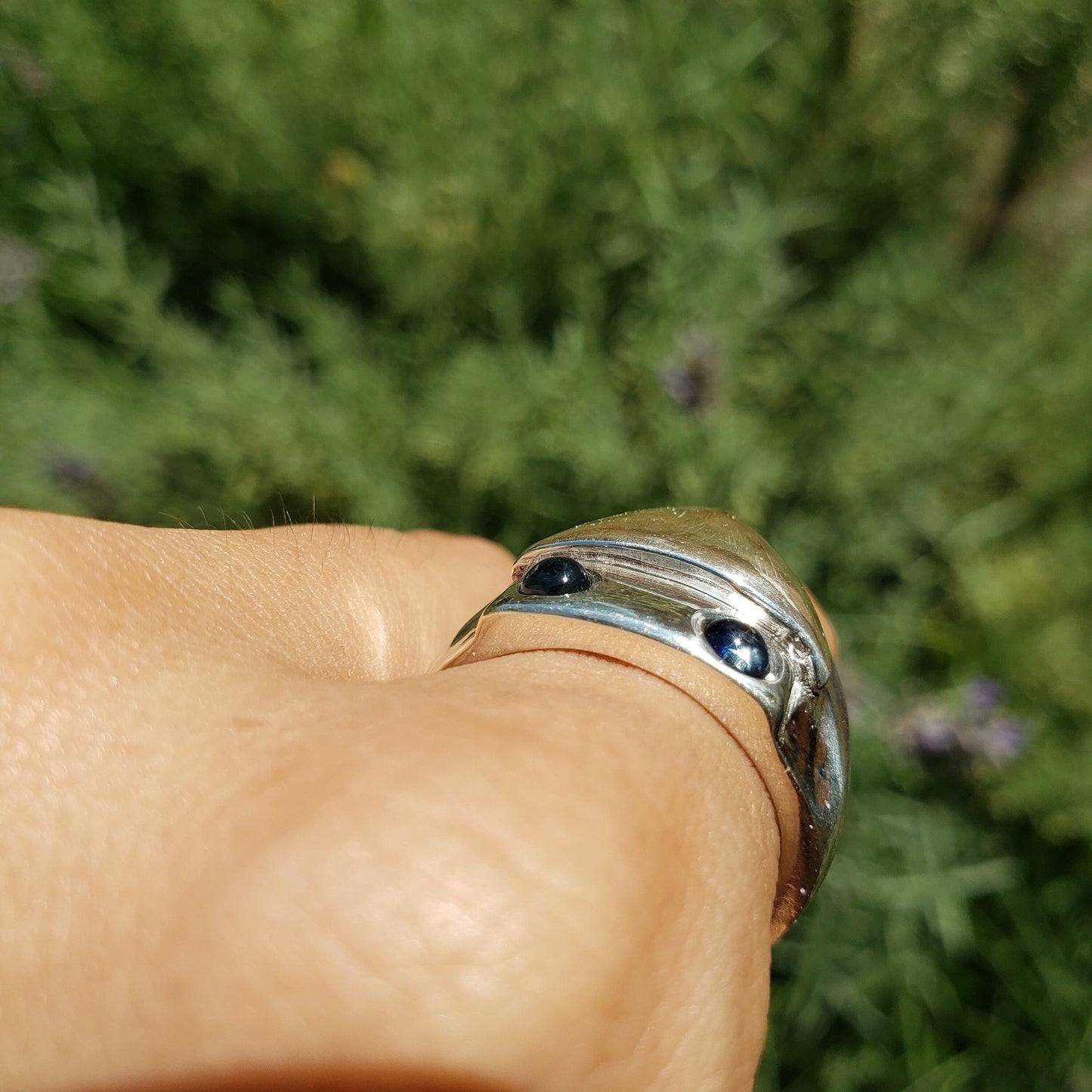 Sapphire eyed cuttlefish head ring