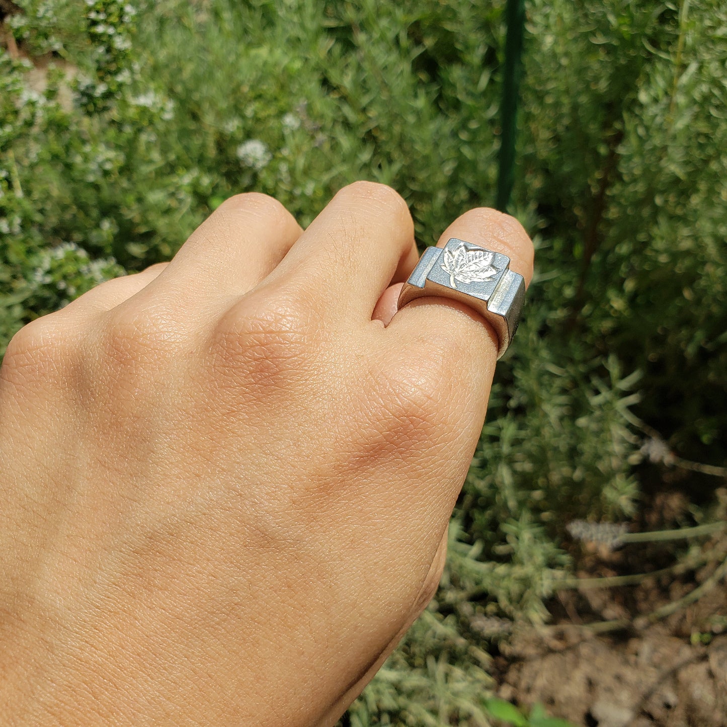 Sycamore leaf wax seal signet ring