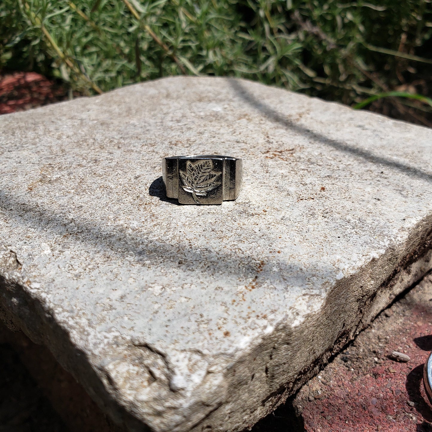 Sycamore leaf wax seal signet ring