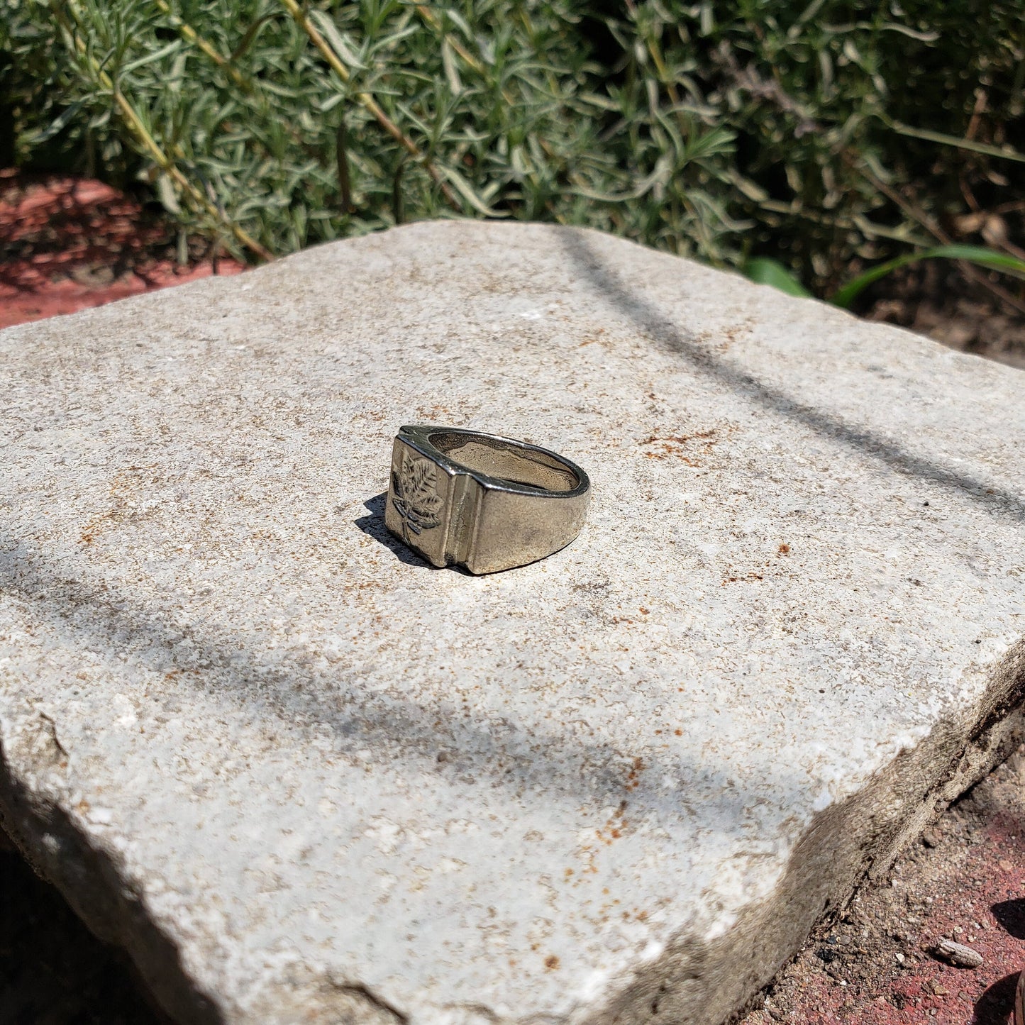 Sycamore leaf wax seal signet ring