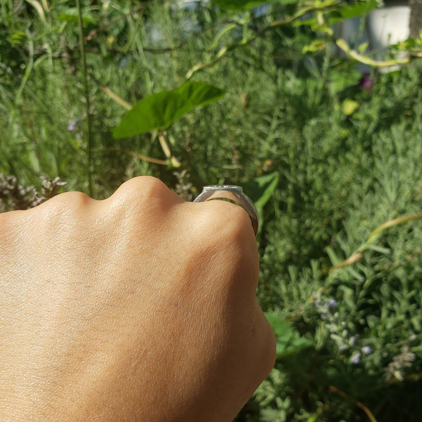 city under a dome signet ring