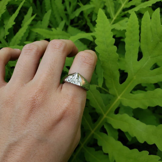 Mountain of steel wax seal signet ring