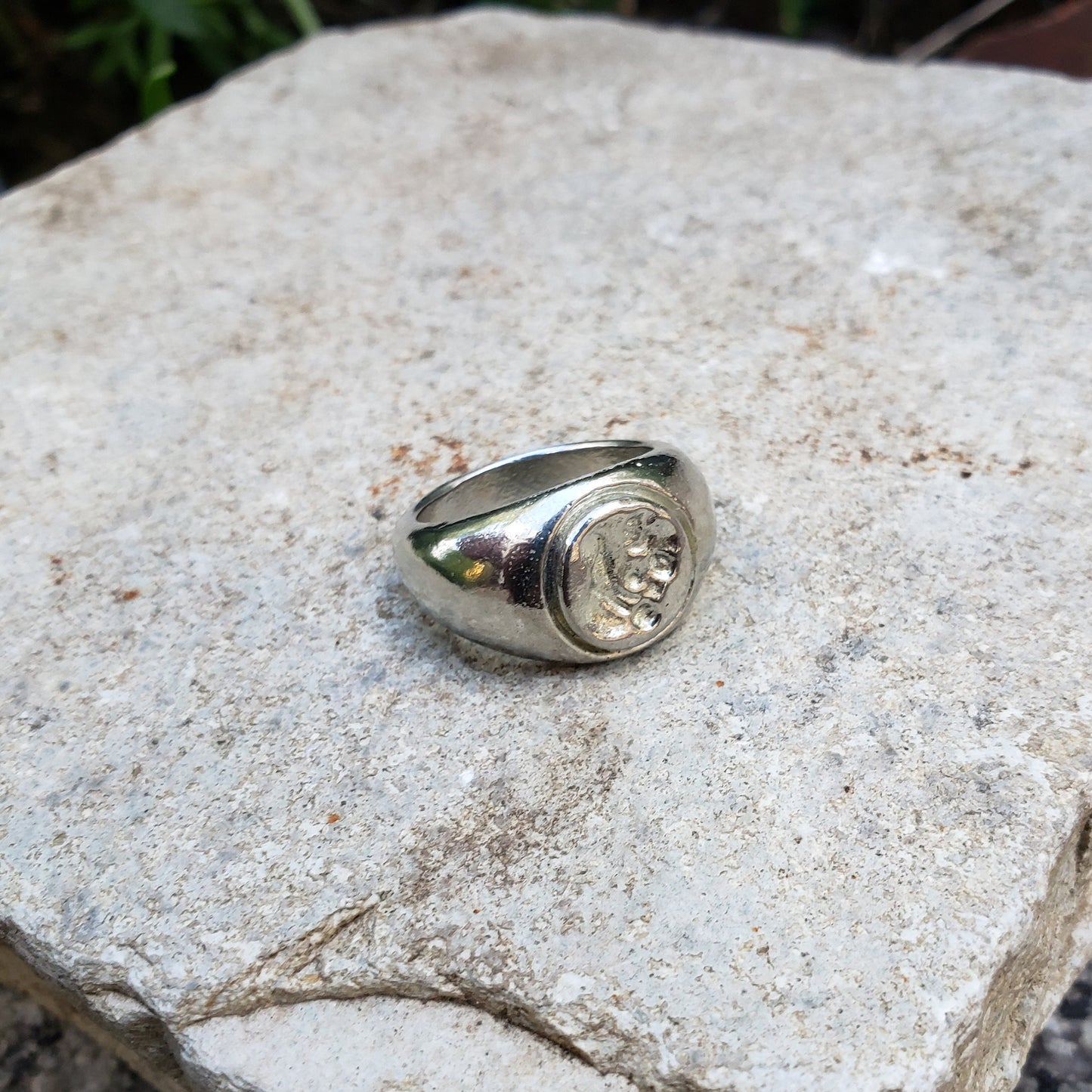 Aviator parrot wax seal signet ring