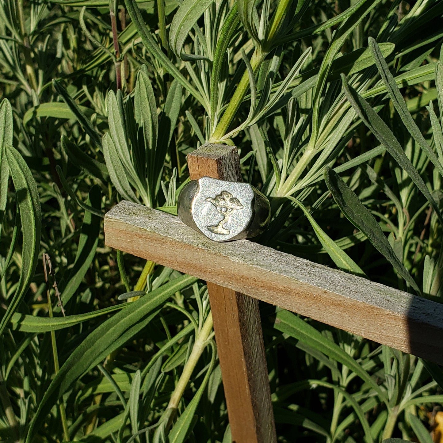 Acacia tree wax seal signet ring