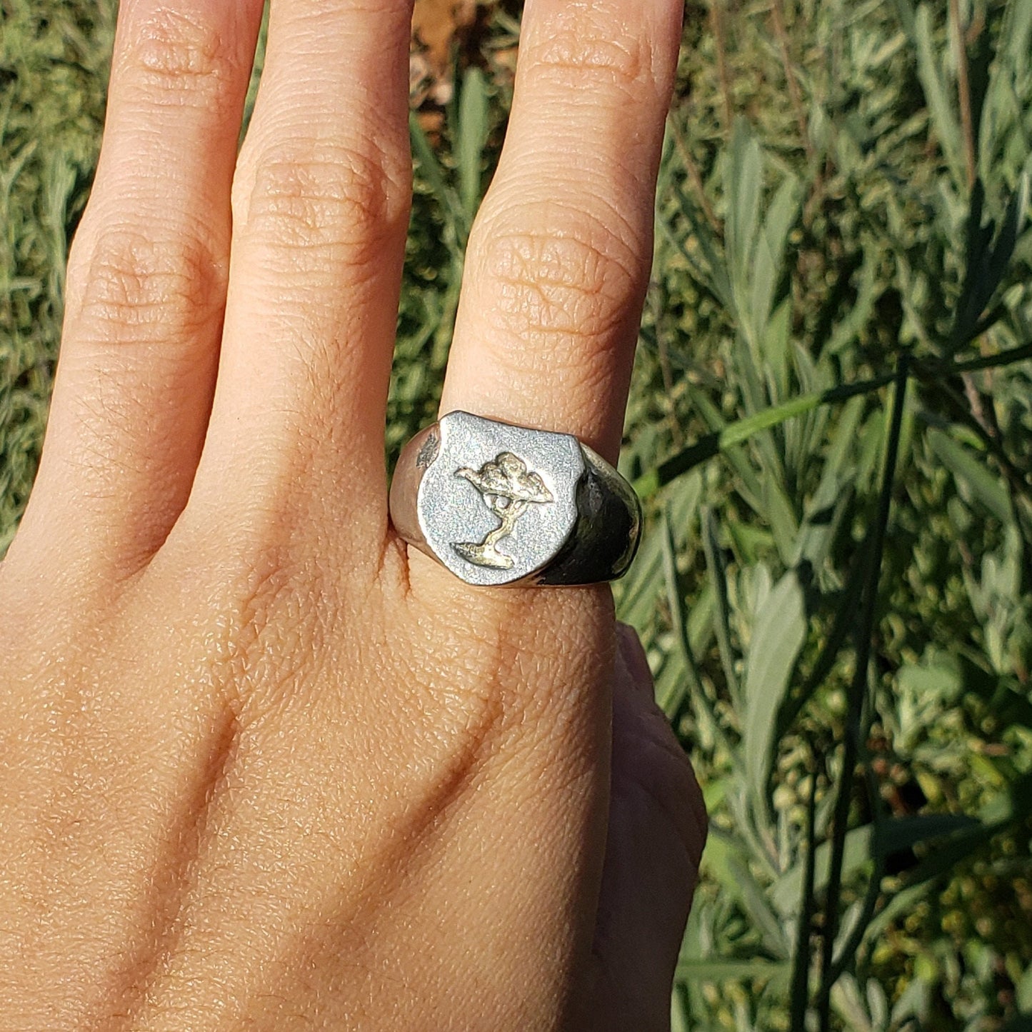 Acacia tree wax seal signet ring