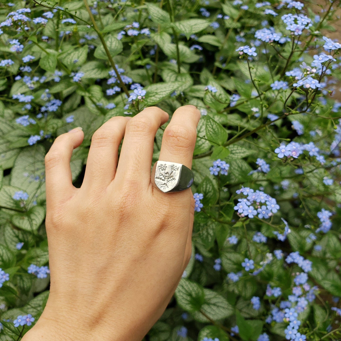 Voynich plant wax seal signet ring