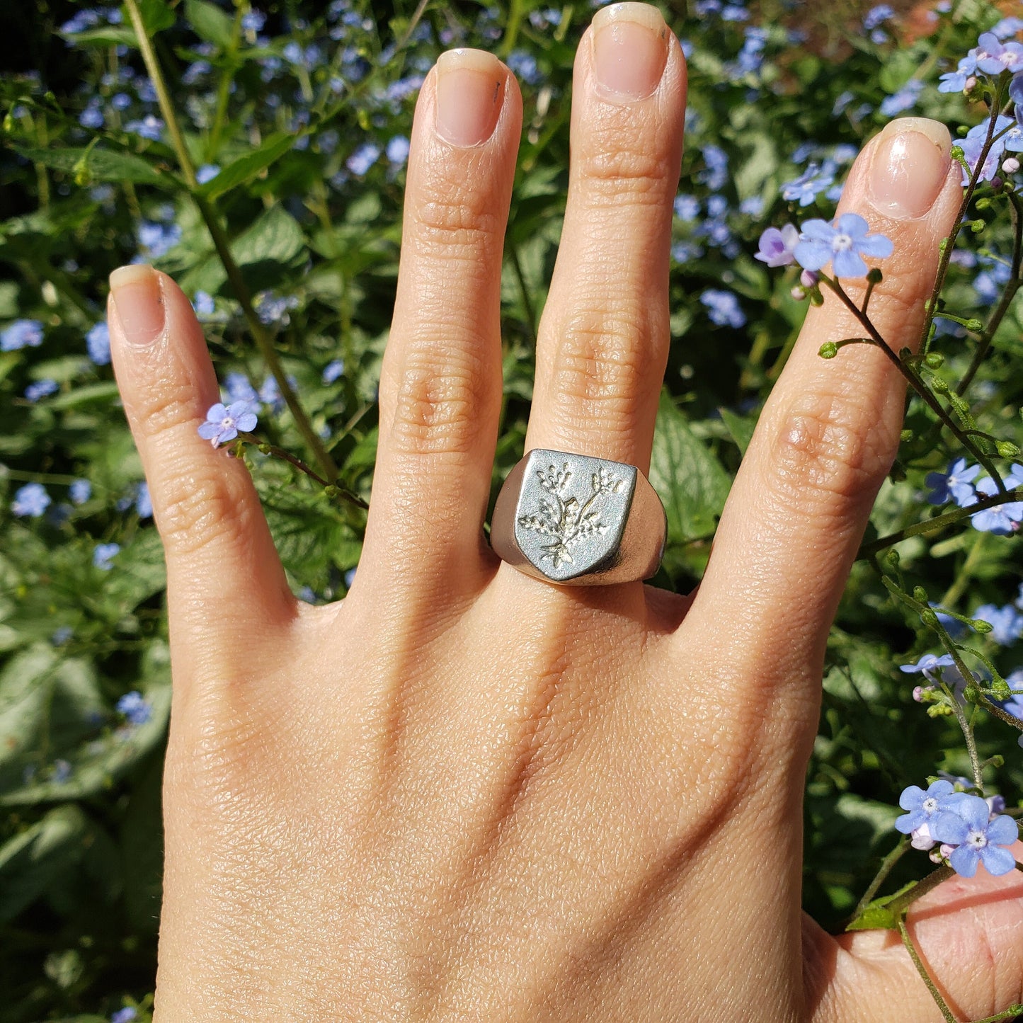 Voynich plant wax seal signet ring