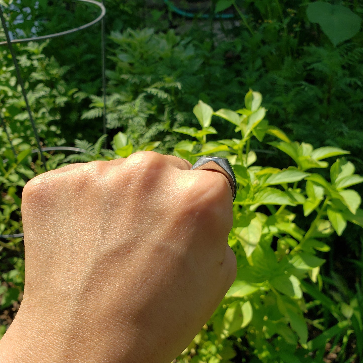 toilet wax seal signet ring