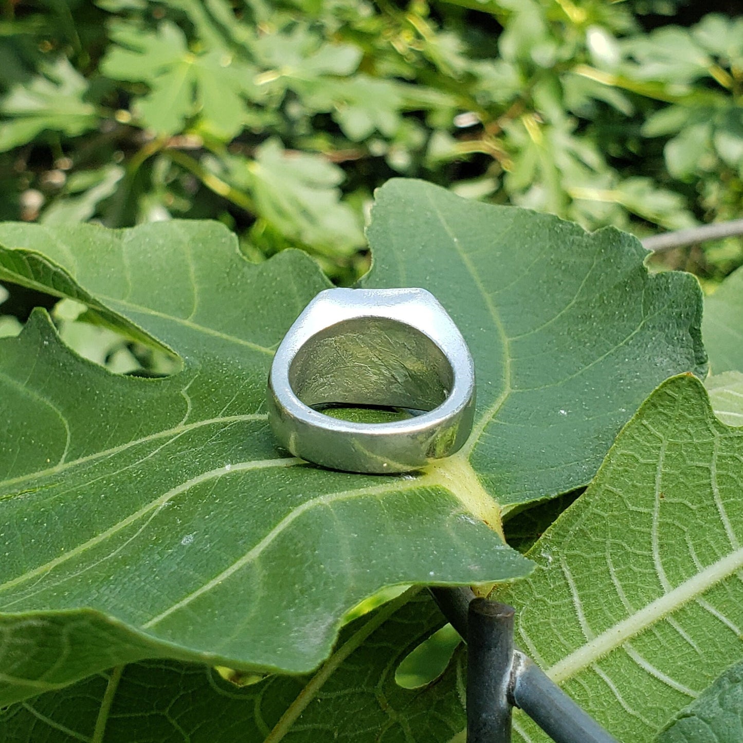 vampire profile wax seal signet ring