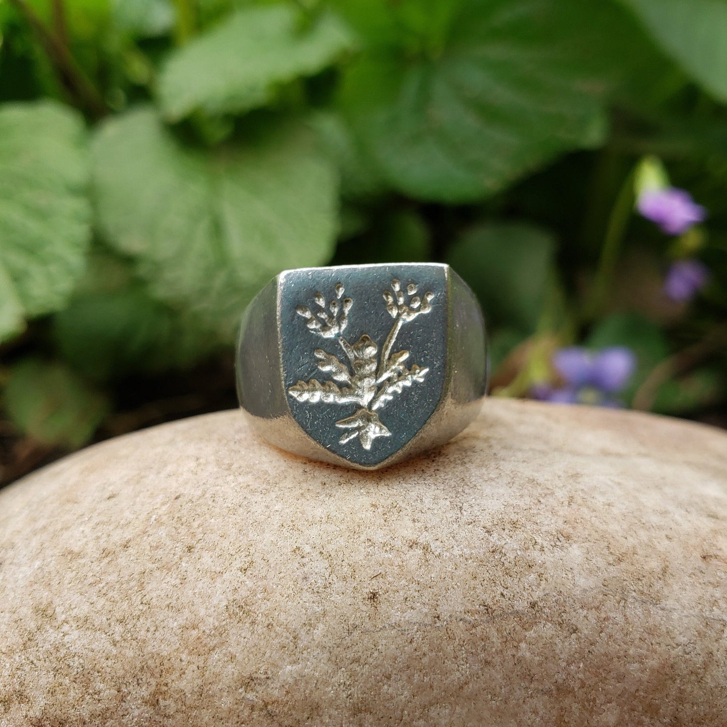 Voynich plant wax seal signet ring