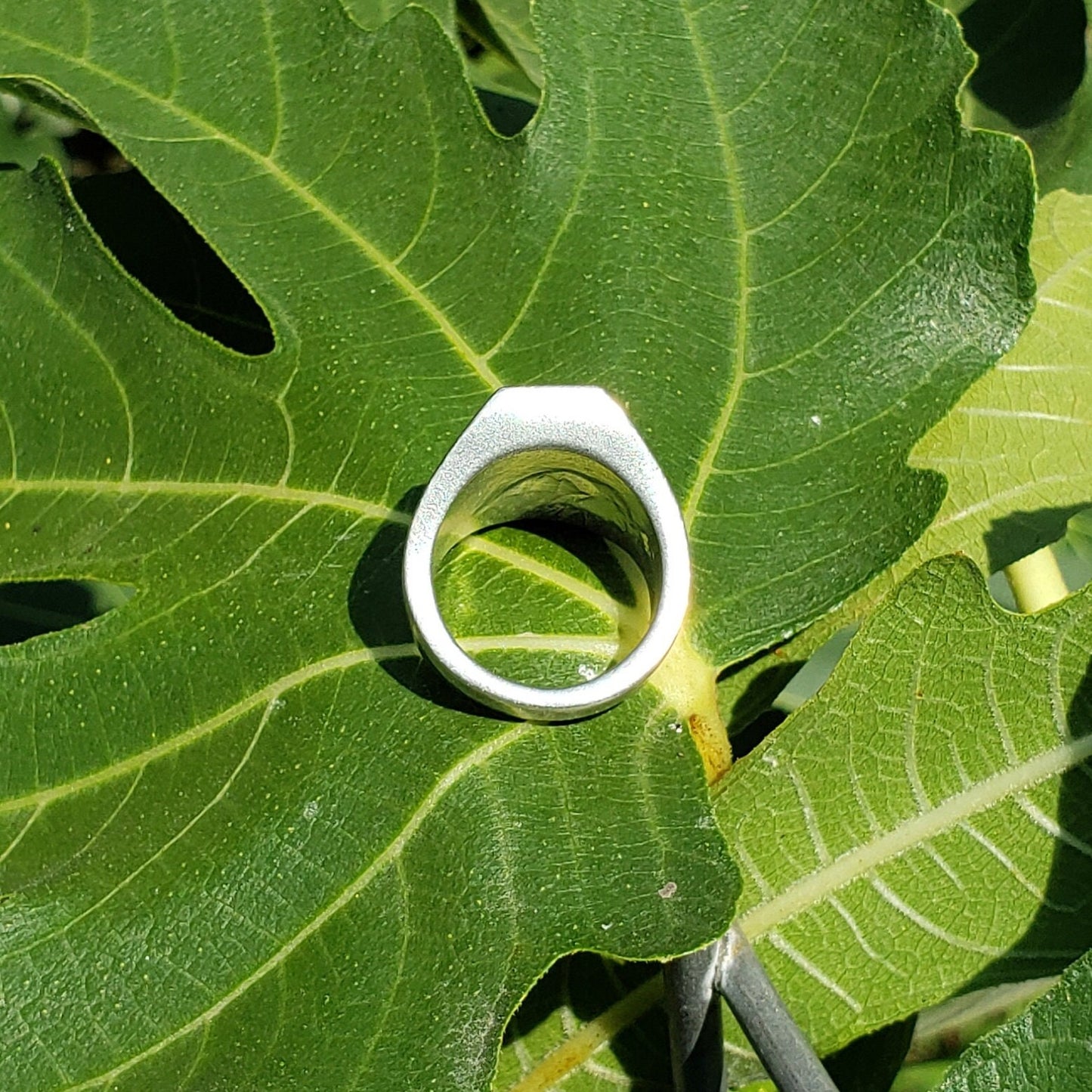 potoo wax seal signet ring