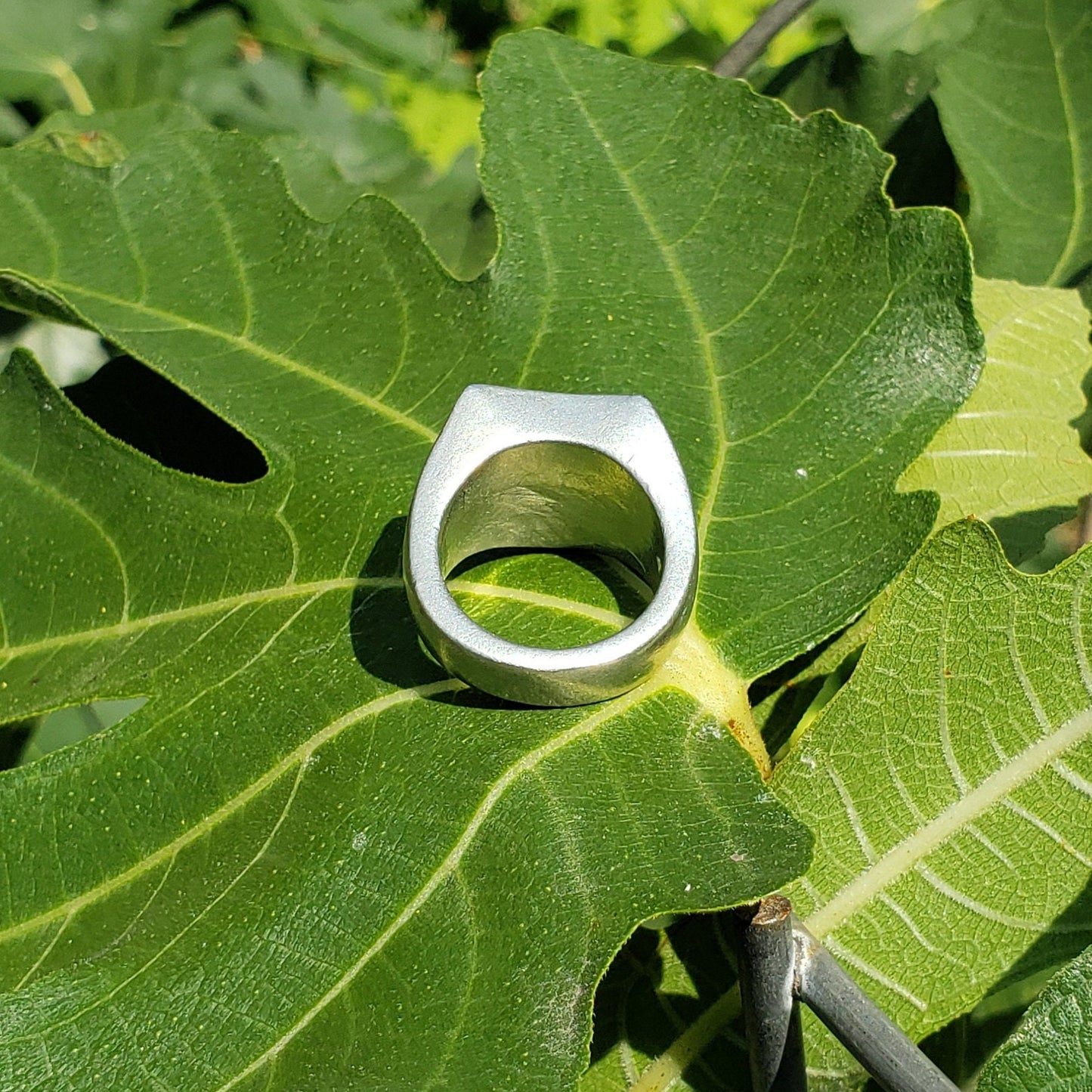 cockatrix wax seal signet ring