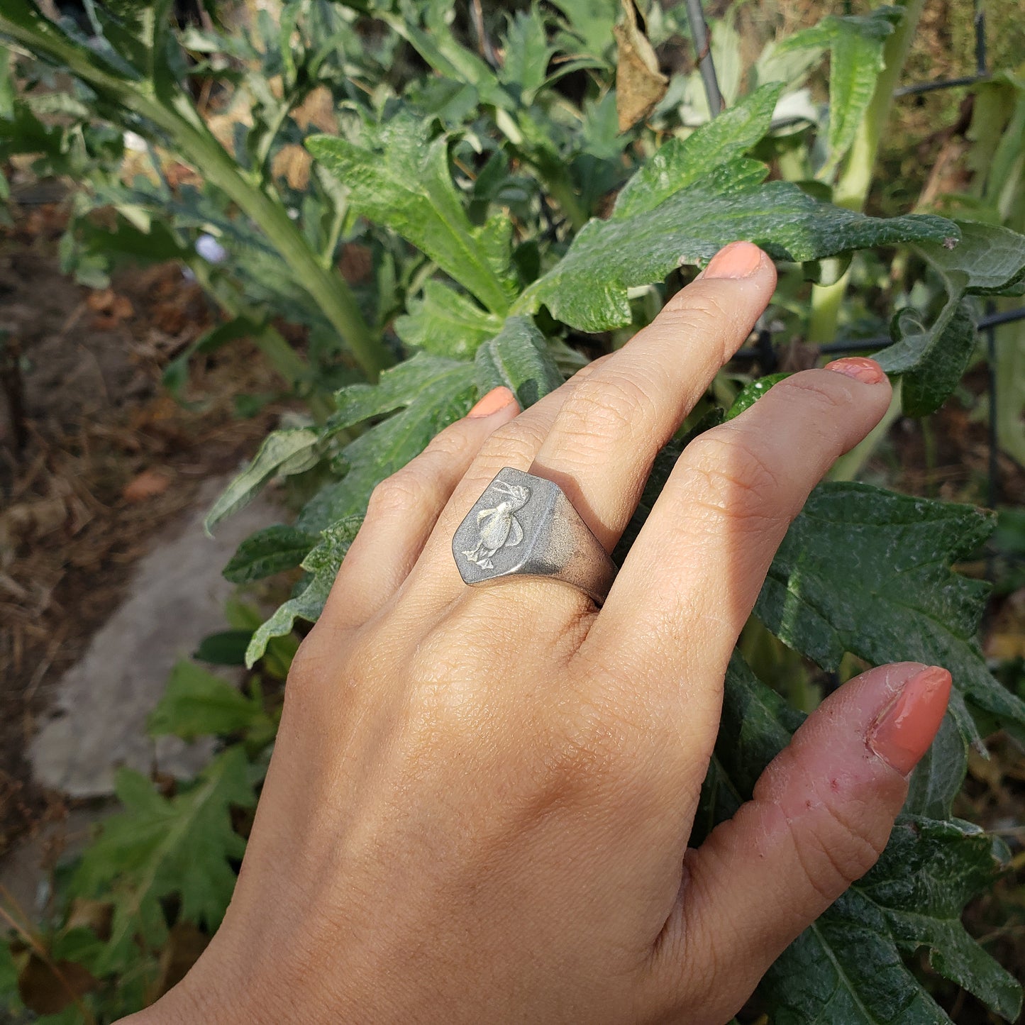 Blue footed booby wax seal signet ring