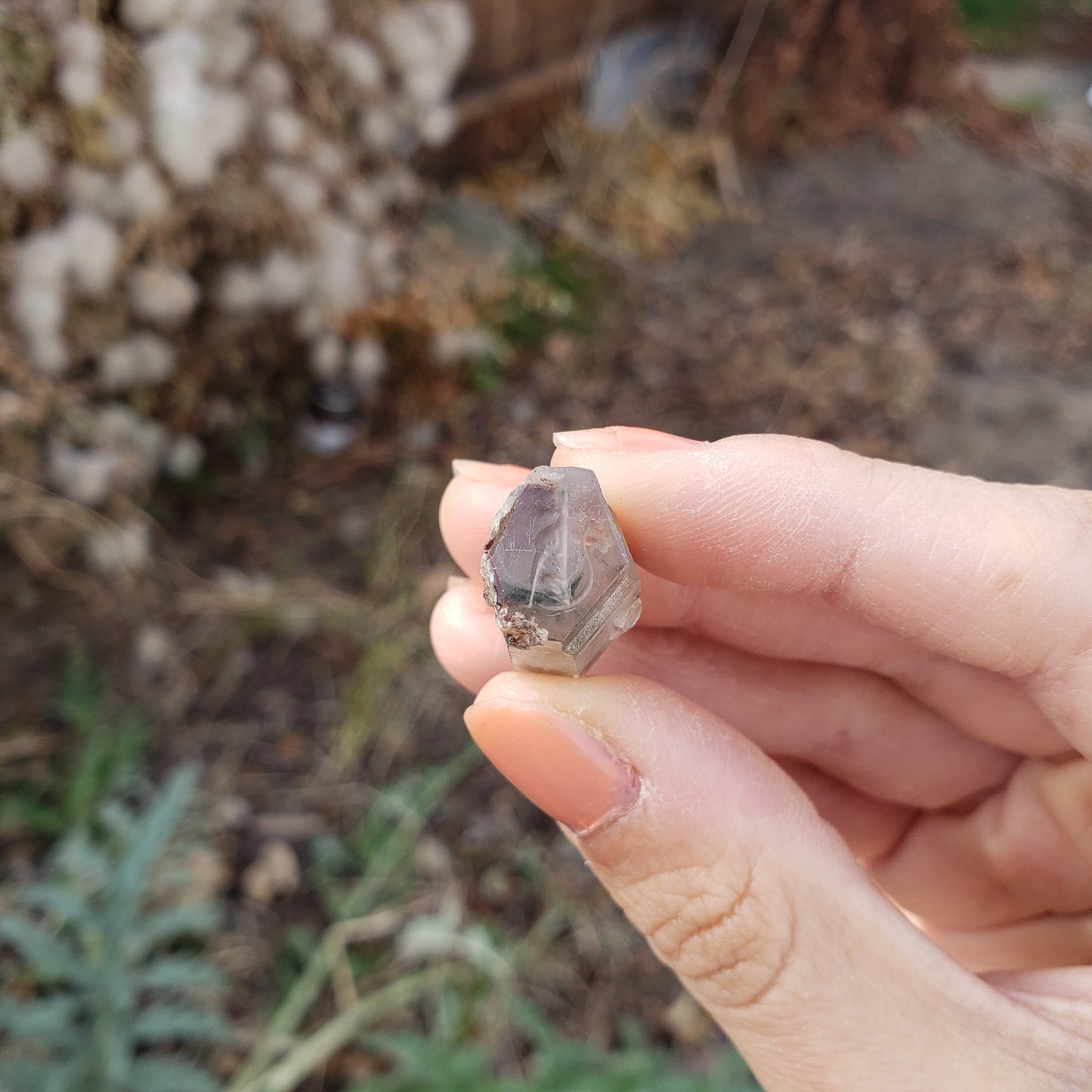 Crystal cat seal