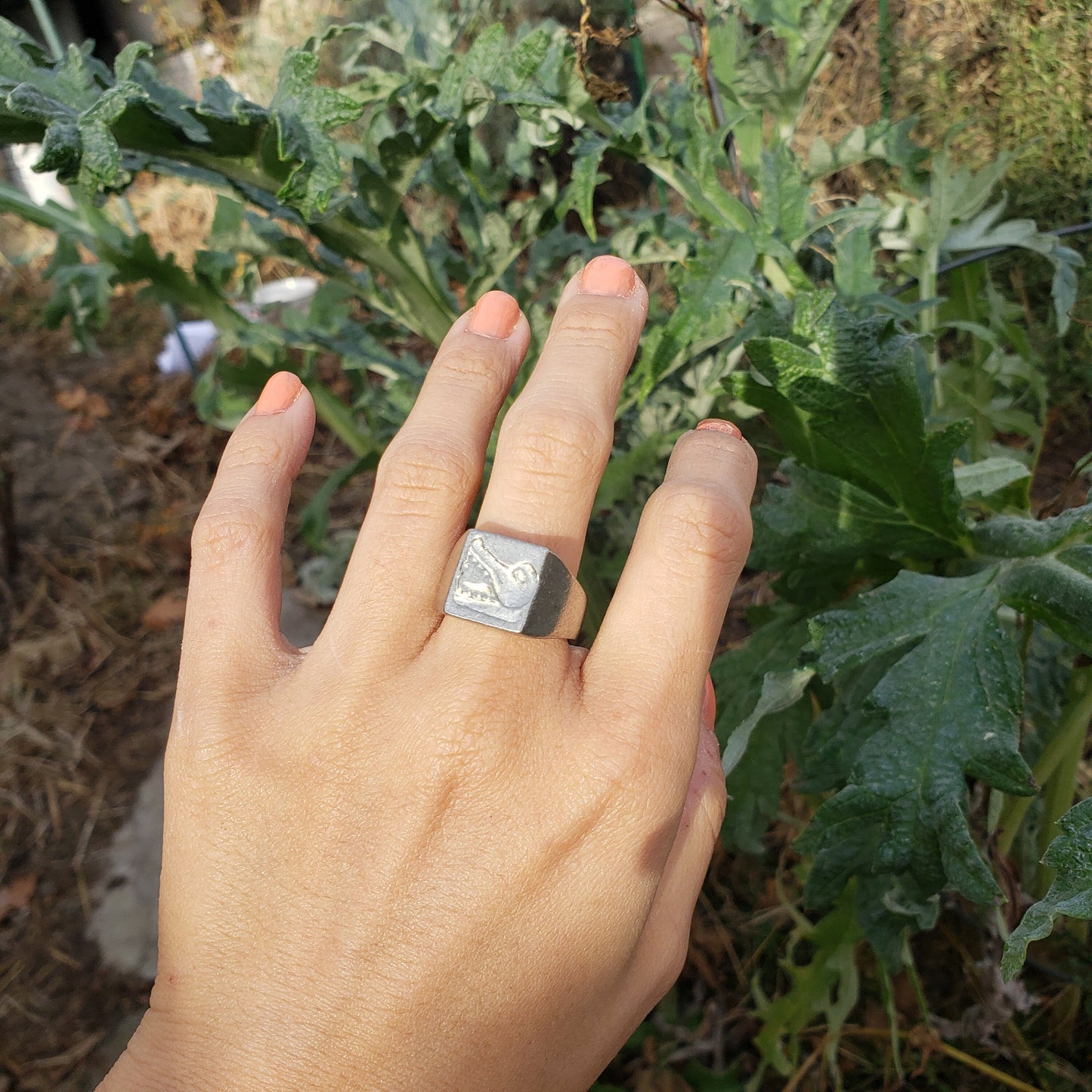 Gator cave wax seal signet ring