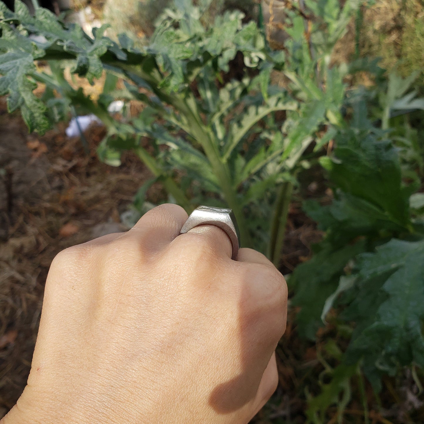 Gator cave wax seal signet ring