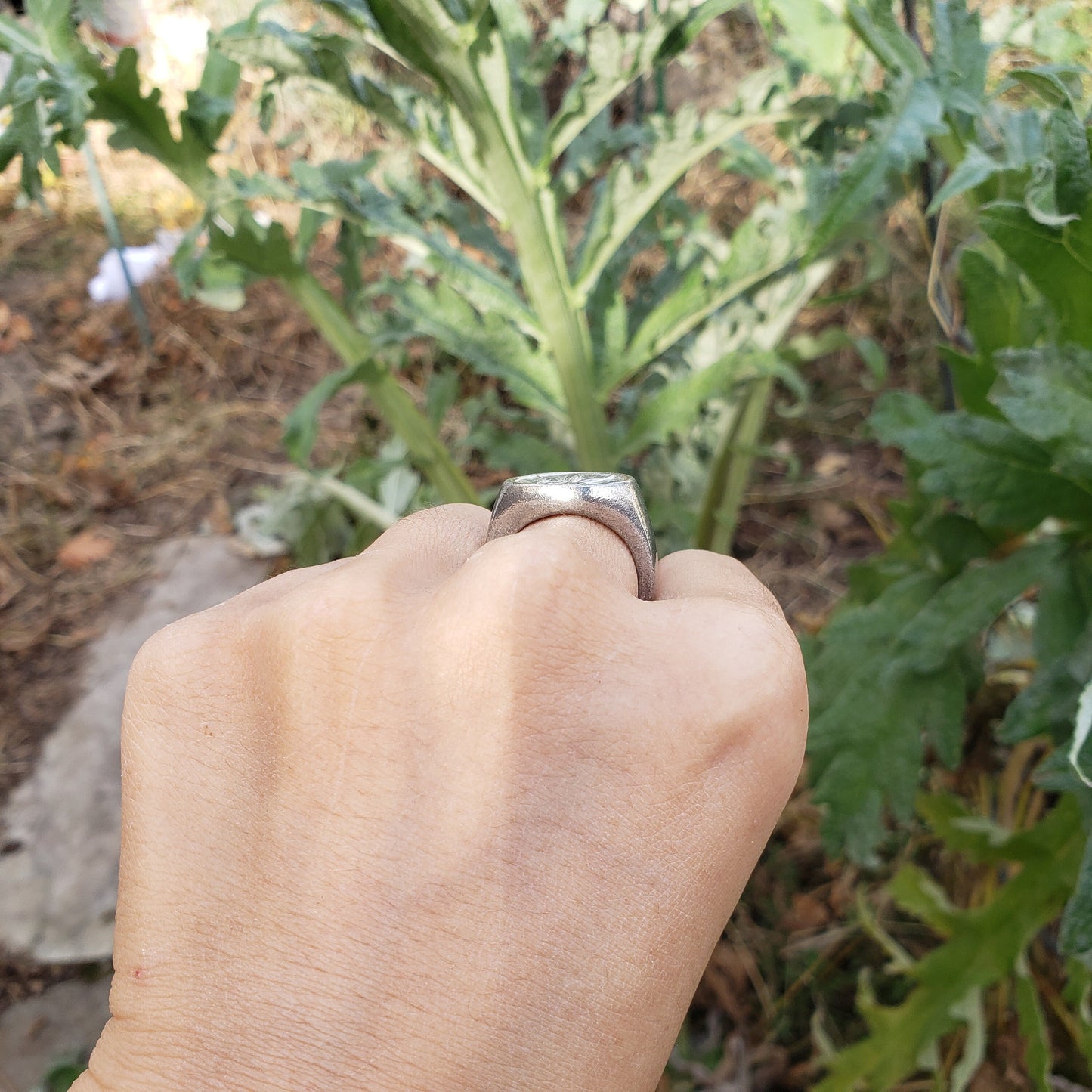 sand dollar wax seal signet ring