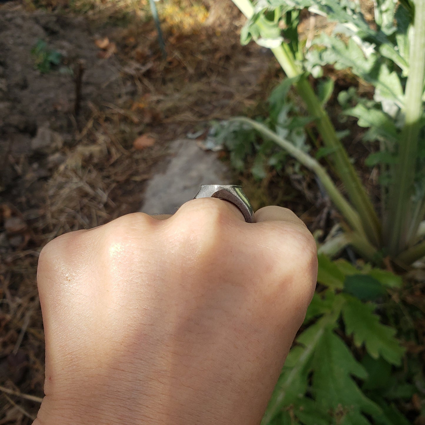 Sandhill crane wax seal signet ring