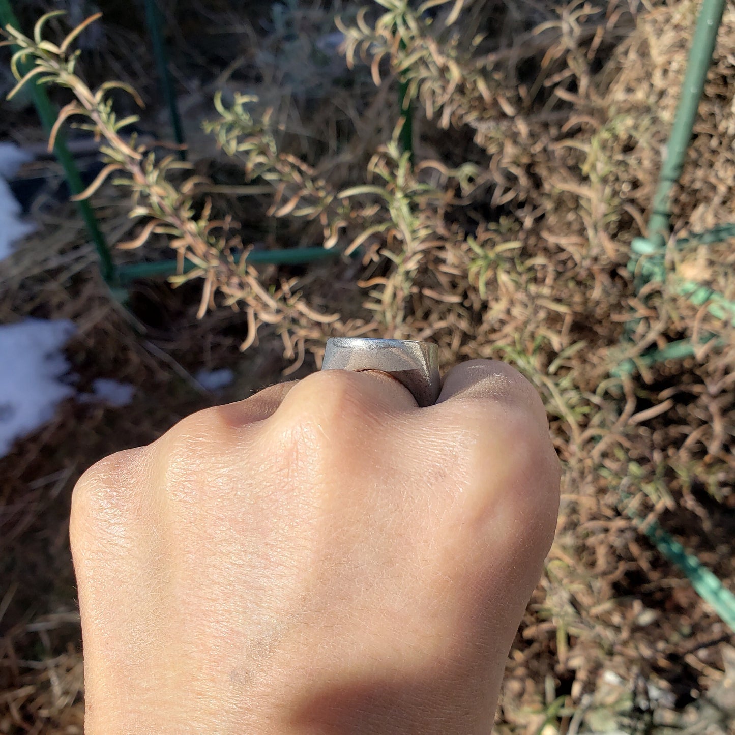 Aggro swan wax seal signet ring