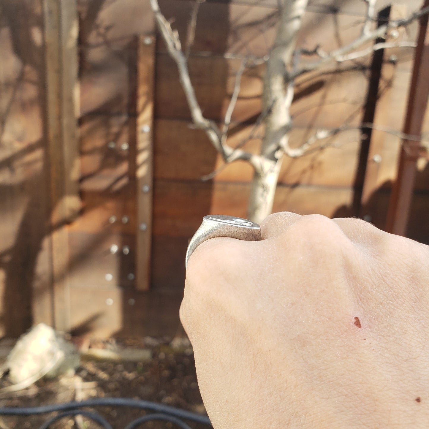 Albatros wax seal signet ring