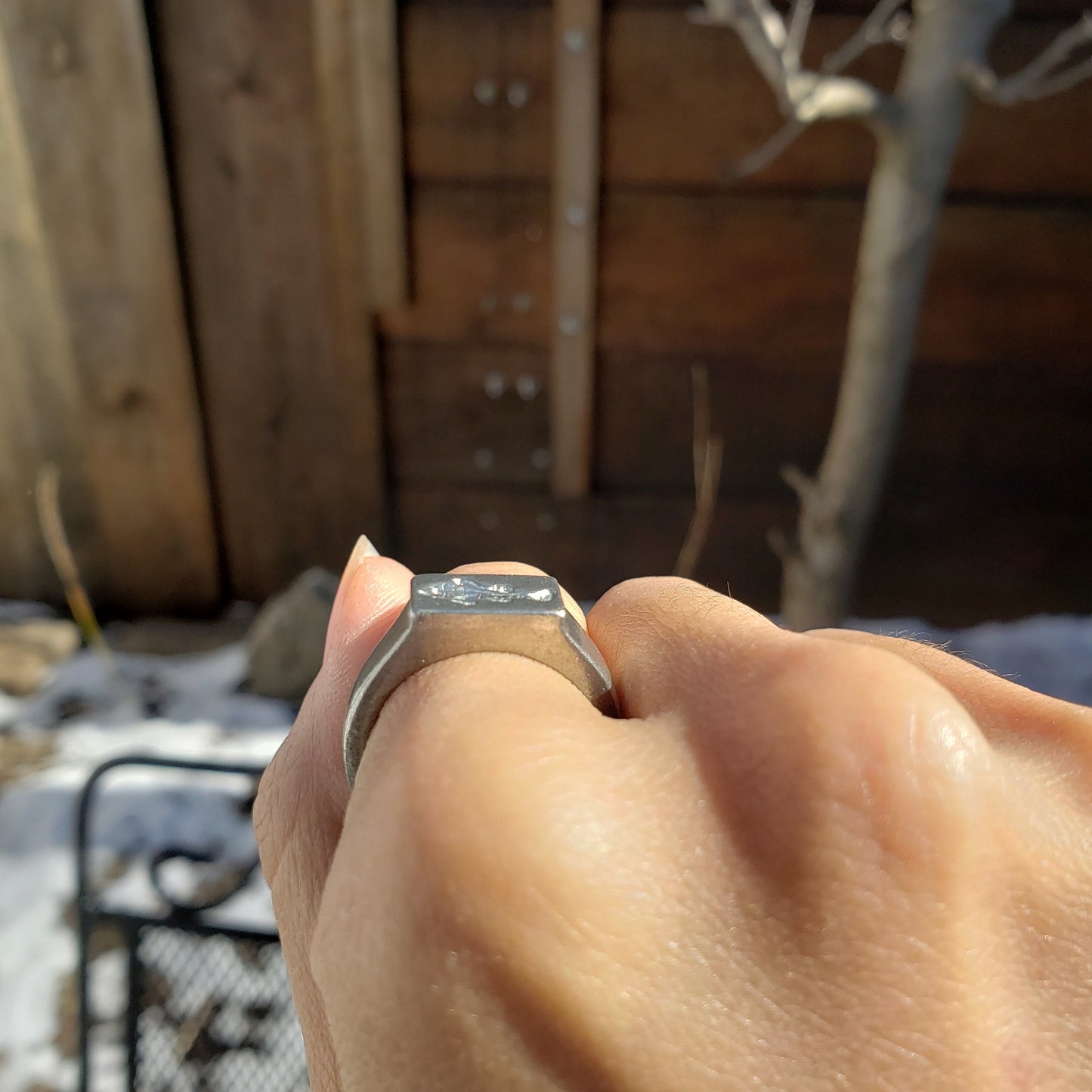 Clownfish wax seal signet ring