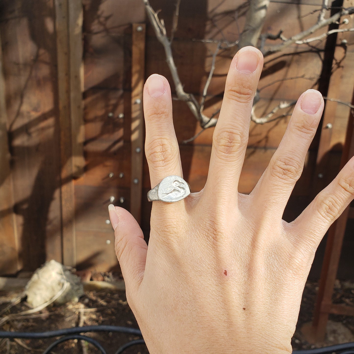 Albatros wax seal signet ring