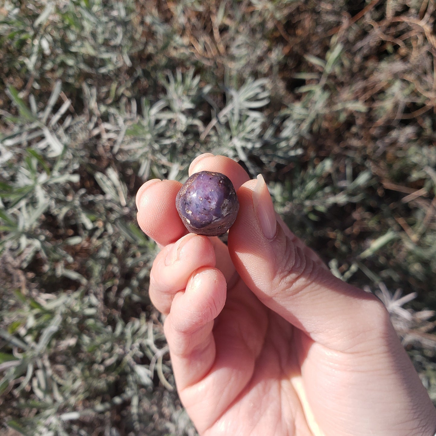 Flicking the bean sapphire Crystal wax seal stamp