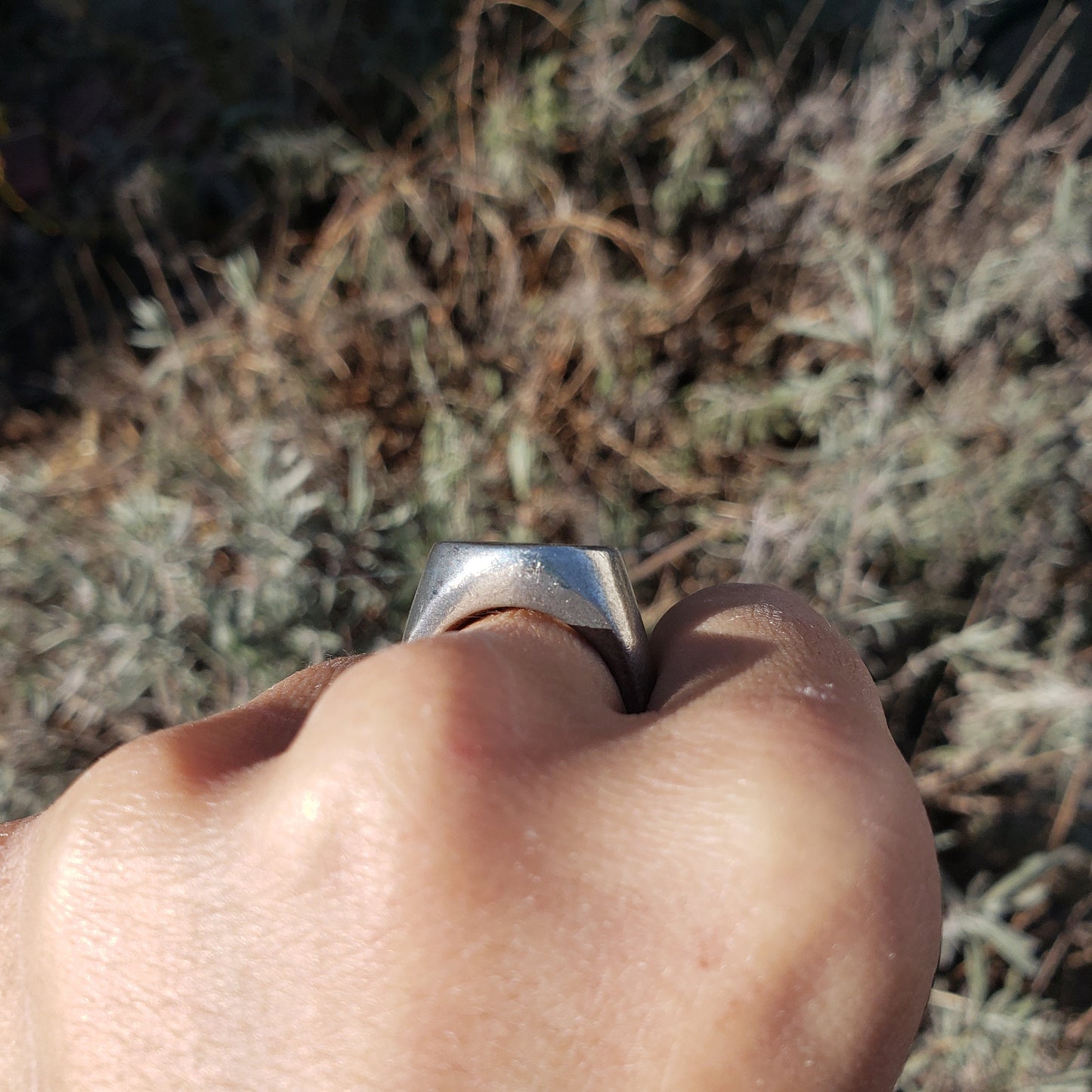 majestic swan wax seal signet ring