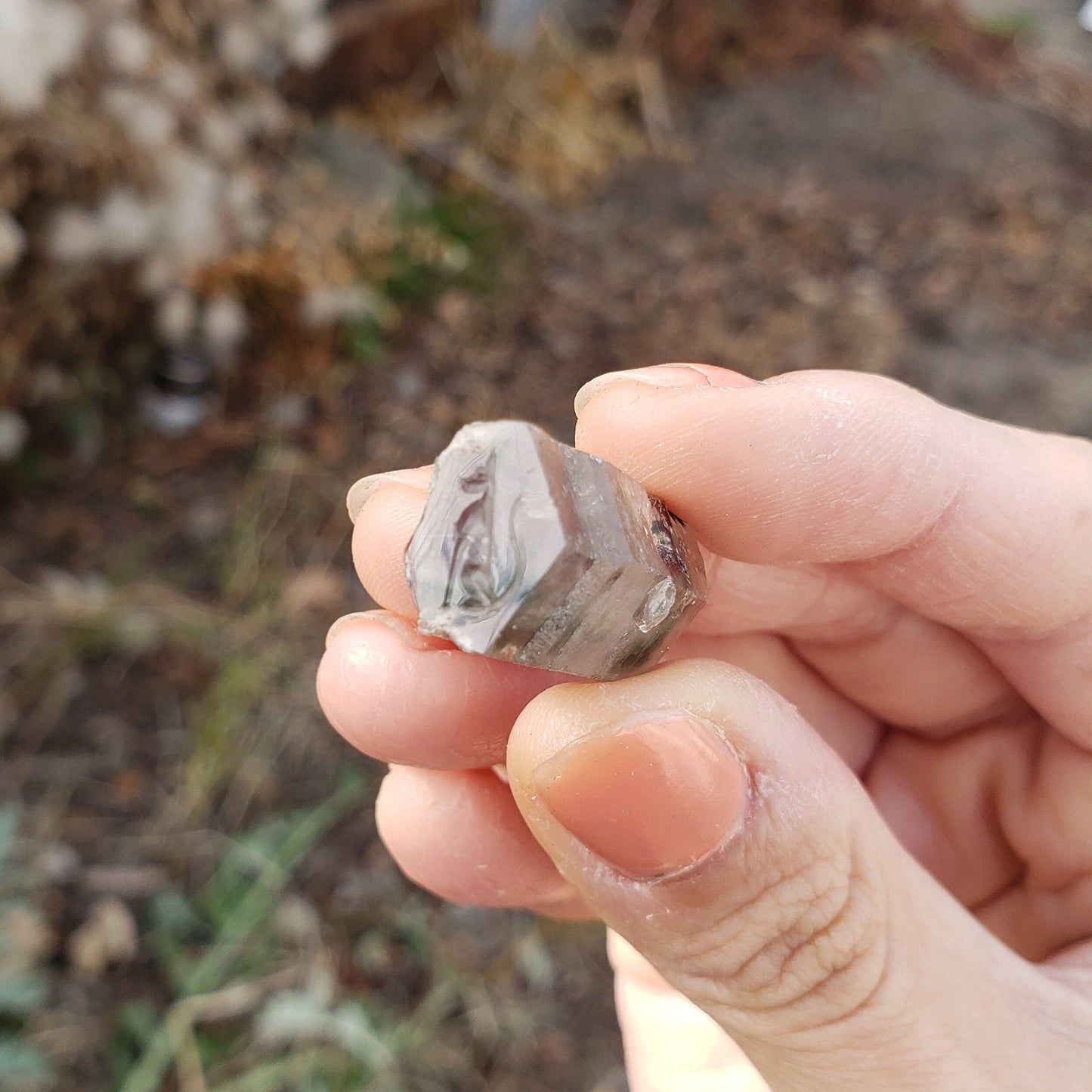 Crystal cat seal