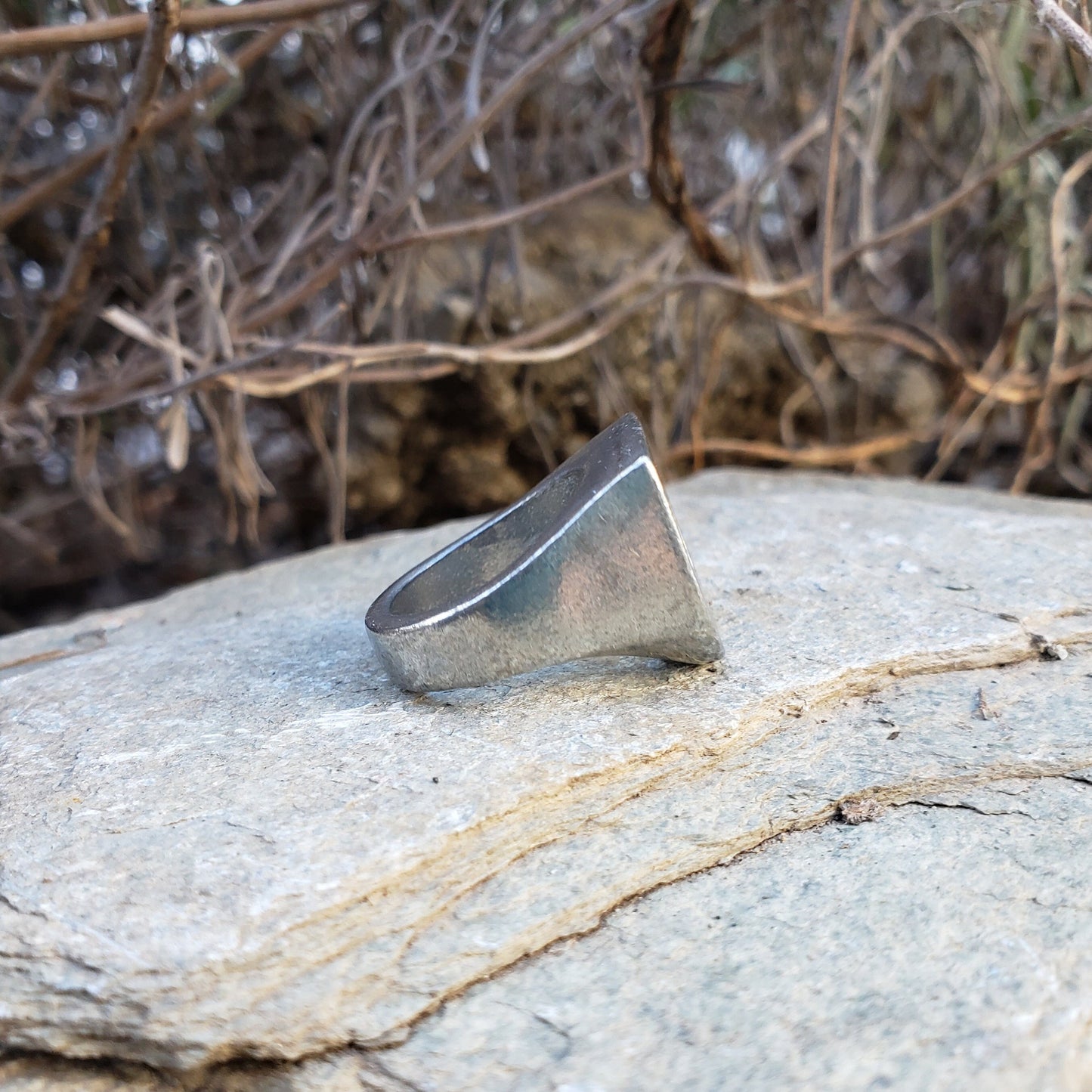 Aggro swan wax seal signet ring