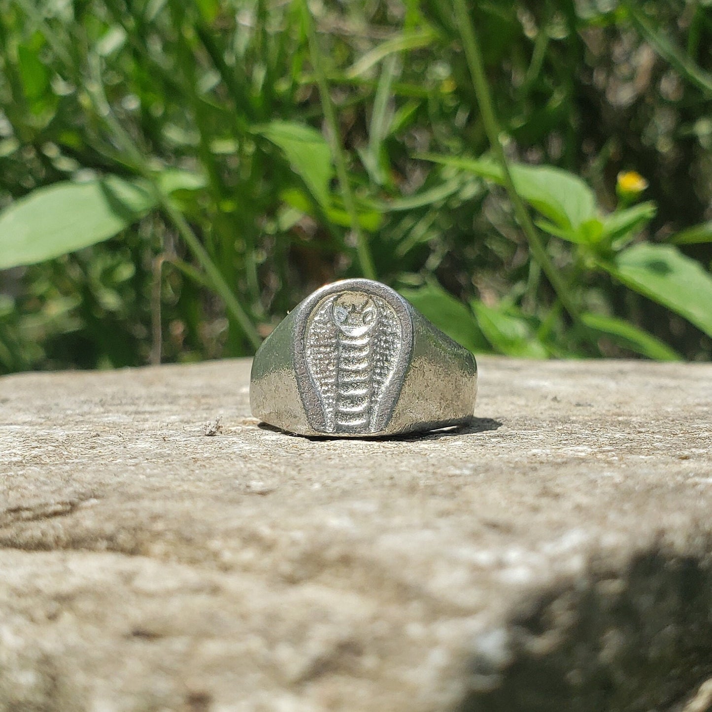 cobra face wax seal signet ring