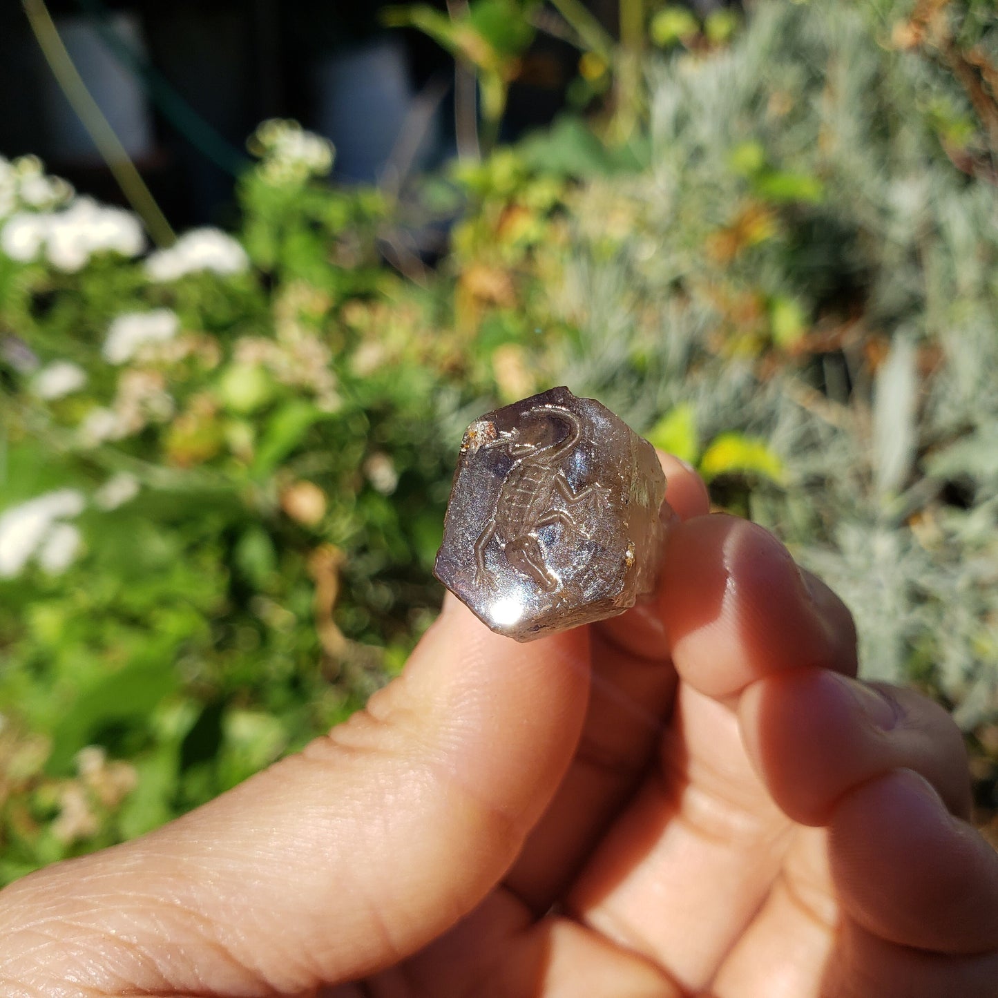 Crocodile Quartz Crystal wax seal stamp