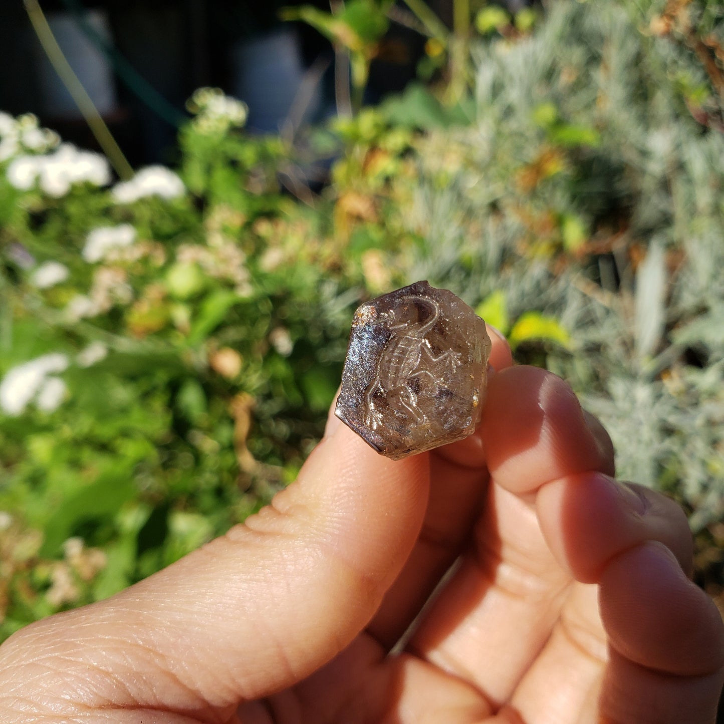 Crocodile Quartz Crystal wax seal stamp