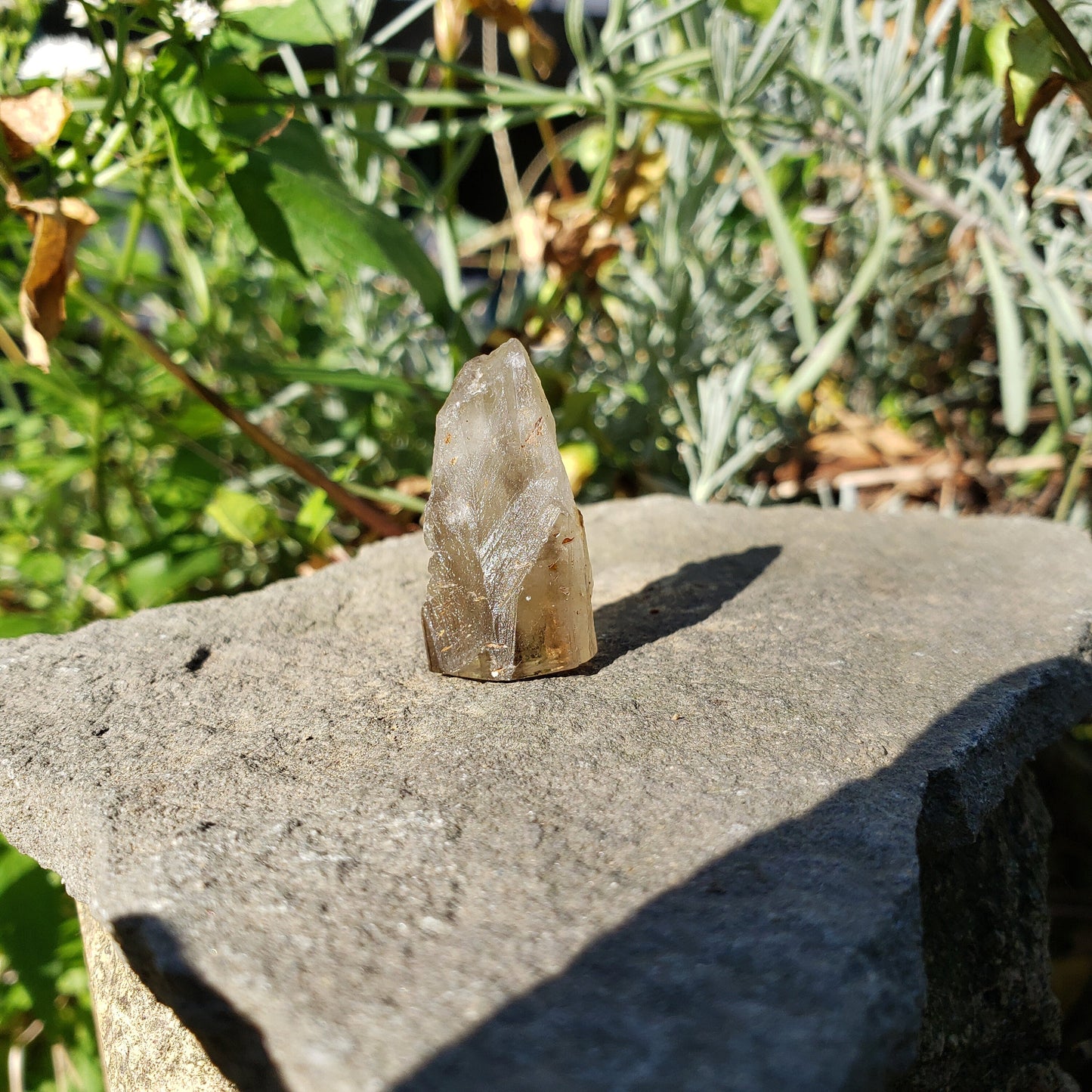 Crocodile Quartz Crystal wax seal stamp