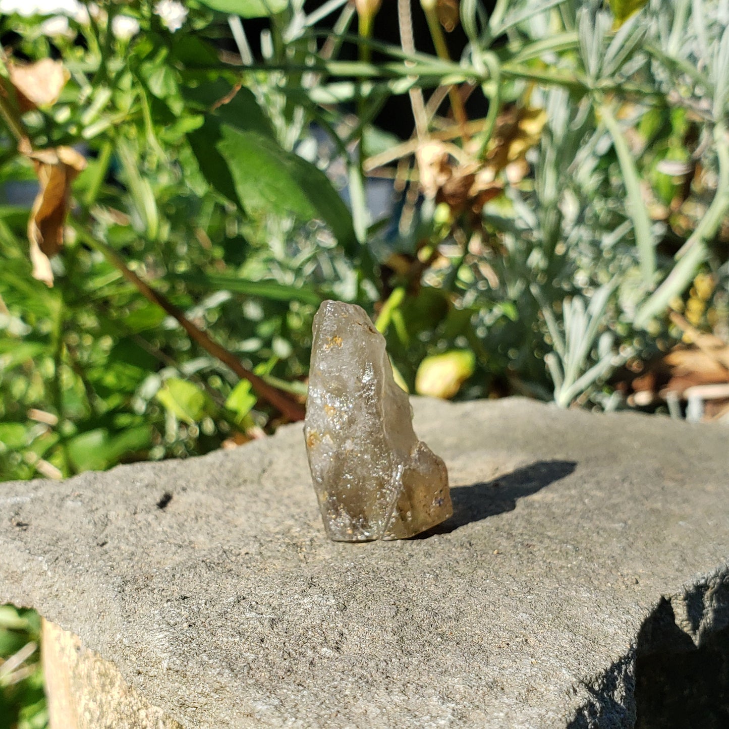 Crocodile Quartz Crystal wax seal stamp