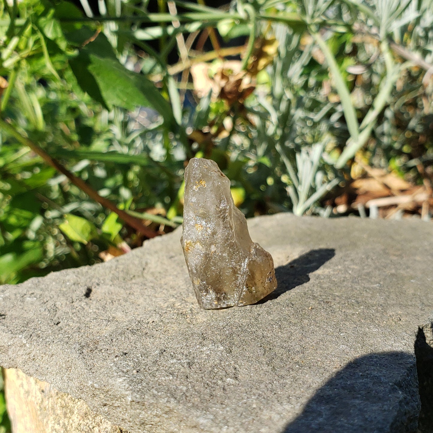 Crocodile Quartz Crystal wax seal stamp