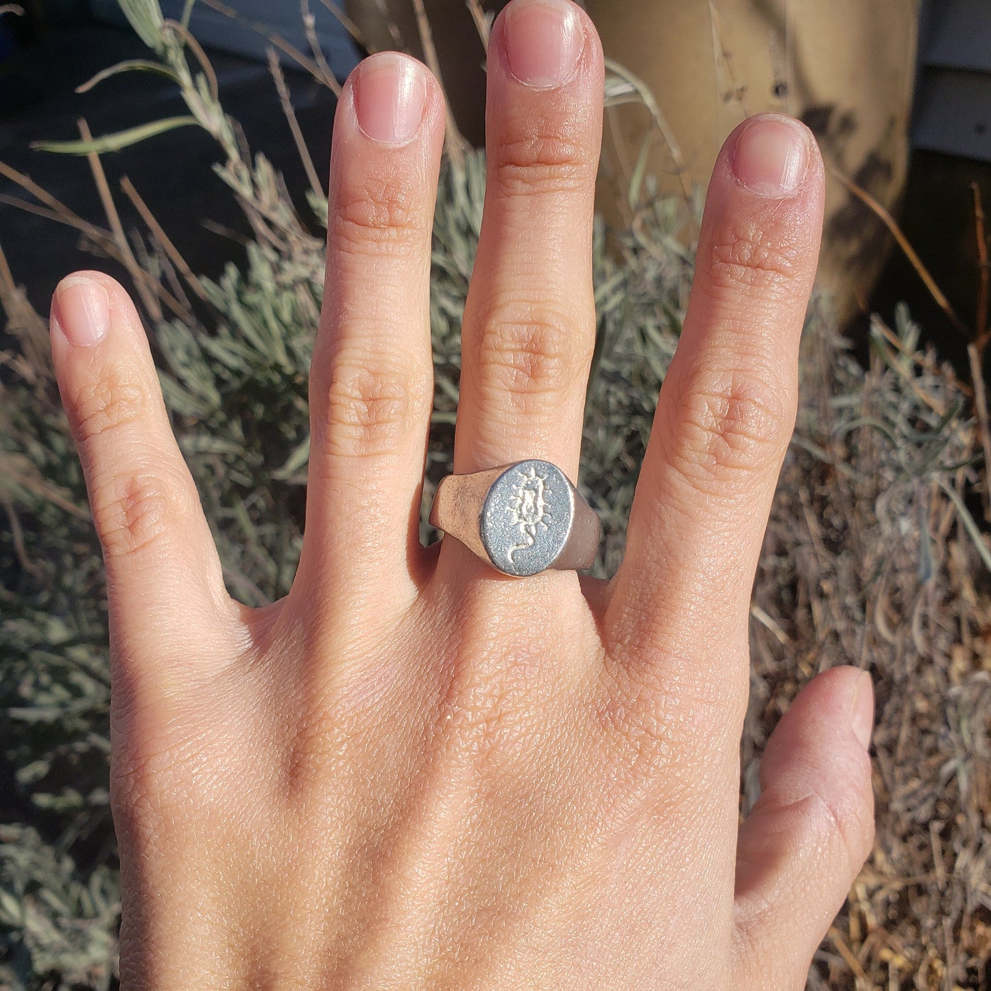 Bacteria wax seal signet ring